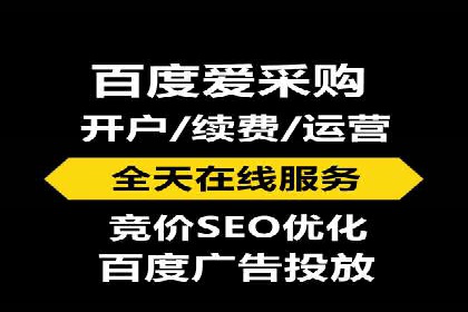 高效SEM托管服务：成功案例深度解析